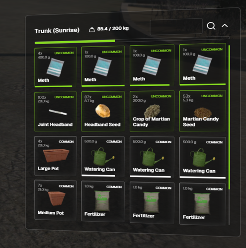 FiveM GTAProcess VVEGy0u05e.png