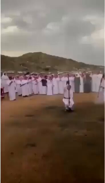 zyNpd6JJOsEbHBEE.jpg