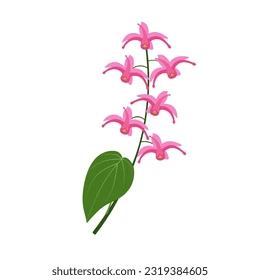 vector illustration epimedium known barrenwort 260nw 2319384605.webp