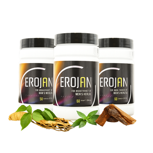 ChatGPT Image 10 Agu 2025, 21.08.52.png