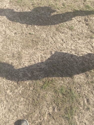 Gx7rMdfXQAANvR7.jpg