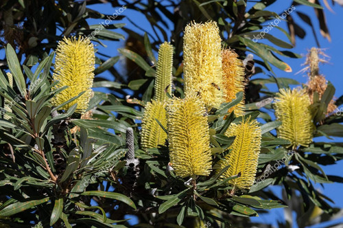 IMG 20250811 WA0020.jpg