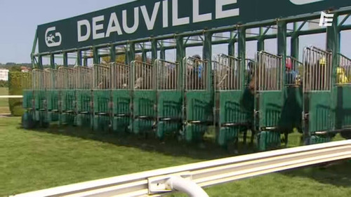 C8Dt7XmDM64J Wds.jpg