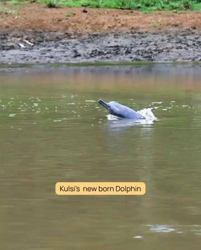 ZWVKBLYzmtVNK0dU.jpg