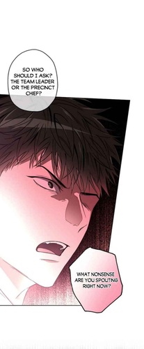 13.png