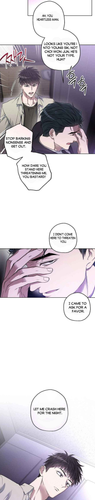 15.png