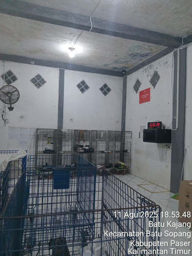 WhatsApp Image 2025 08 11 at 18.54.38 (1).jpg