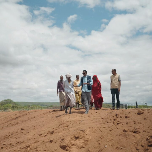 mYfwZWGcUI6R QmP.jpg