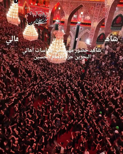 OITQmxkVHyy2 3dy.jpg