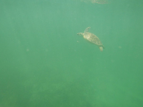 d c cFPsV2woTx8Y.jpg