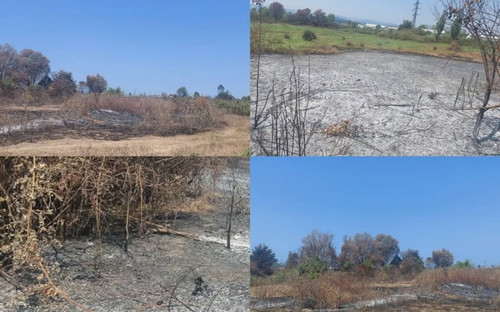 530658753 122221218524146263 7865989964218198524 n.jpg?stp=dst jpg p843x403 tt6& nc cat=110&ccb=1 7&.jpg