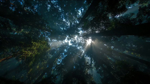 VxUYOeW 8688CPdw.jpg