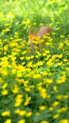 1Tuo 7ITIwSJ8wcg.jpg