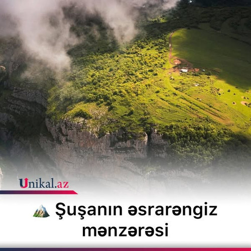 530626063 735256842653588 2813695410550131395 n.jpg?stp=dst jpg s600x600 tt6& nc cat=101&ccb=1 7& nc.jpg