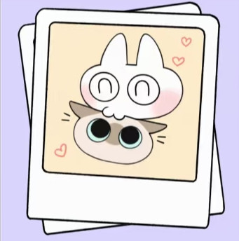 IMG 20250811 214433.jpg