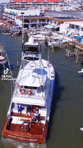 VjzoNHj lMzyCKZi.jpg