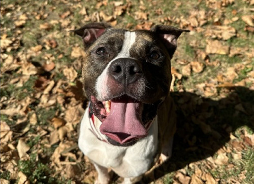 GxdntxPagAA JEF?format=jpg.jpg