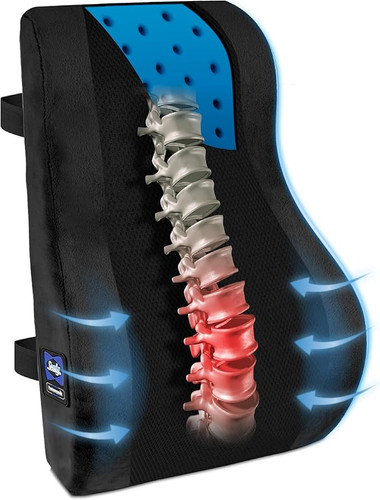 Sealy high back lumbar support pillow pic.jpg