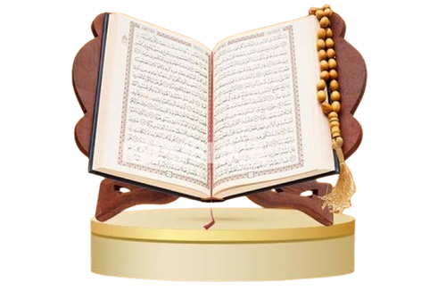 images 398 removebg preview.png