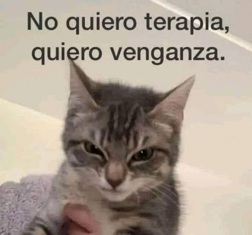 487134118 1102814778549583 2450352976660869871 n.jpg