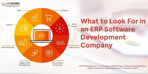 ERP Software Development Company.jpg