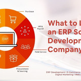 ERP Software Development Company