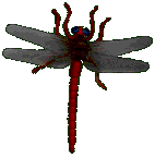 floating decoration
