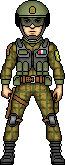 European Infantry Commander Voivode.gif