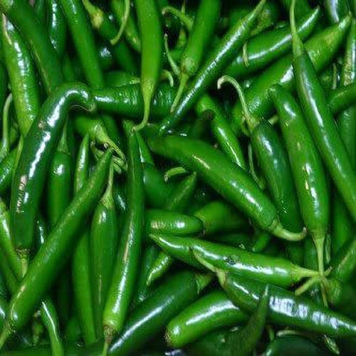 275 chilli hybrid vegetable seed.jpg