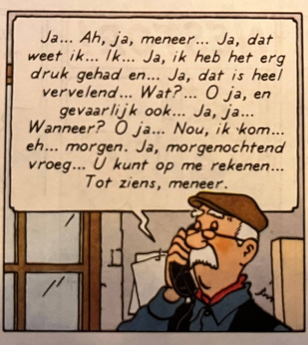 Tintin 4 IMG 3808.jpg
