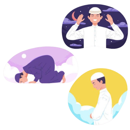 images 402 removebg preview.png