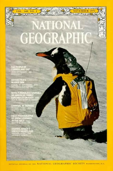 magazine
