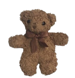 teddy