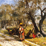 UMINDS Old photos195