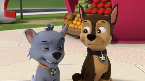 Tlapkova.Patrola.S11E01.1080p.SKST.WEB DL.CZ.DD+2.0.x264 My.mkv snapshot 11.22 [2025.07.29 21.50.34]