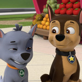 Tlapkova.Patrola.S11E01.1080p.SKST.WEB DL.CZ.DD+2.0.x264 My.mkv snapshot 11.22 [2025.07.29 21.50.34]