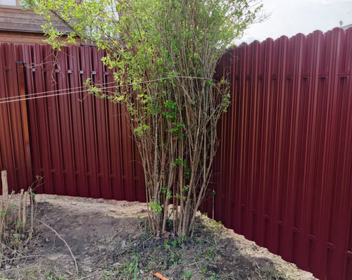 IMG 20250516 WA0122.jpg