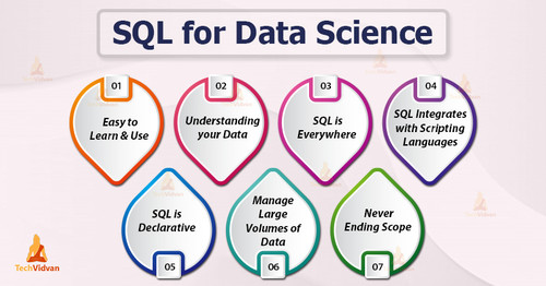SQL for data science.jpg
