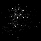 1001128556.gif