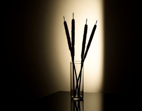 Sameh Elbialy bulrush painting 00dd1705 5d61 4f89 ba6b a0d2d723cfe9