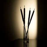 Sameh Elbialy bulrush painting 00dd1705 5d61 4f89 ba6b a0d2d723cfe9