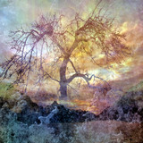 Oil painting Photos 0271