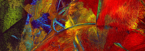 Oil painting Photos 0218.jpg