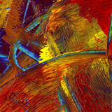 Oil painting Photos 0218