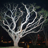 Oil painting Photos 0254