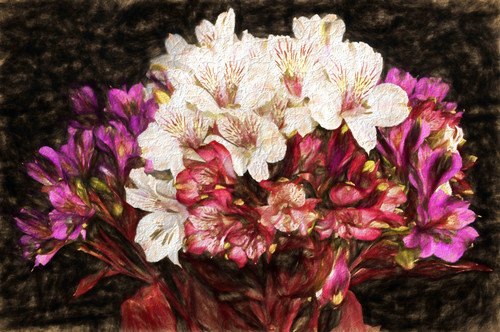 UMINDS roses 121.jpg