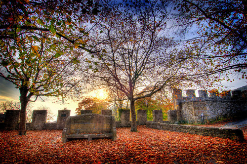 Oil painting Photos 0398.jpg