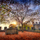 Oil painting Photos 0398