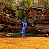 Oil painting Photos 0399