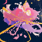 pexels didsss 2911540